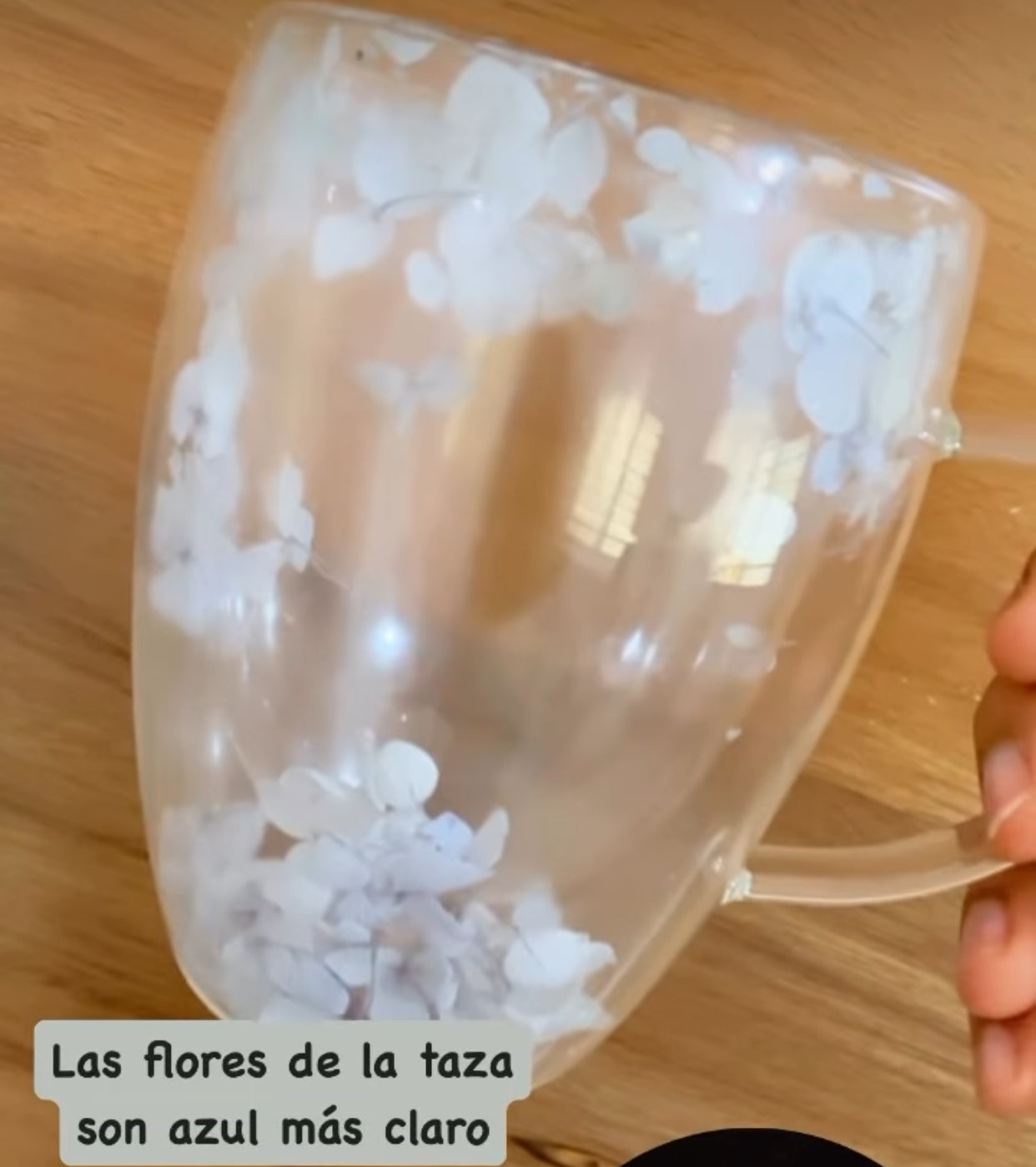 Taza Hojas Secas